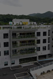 전남